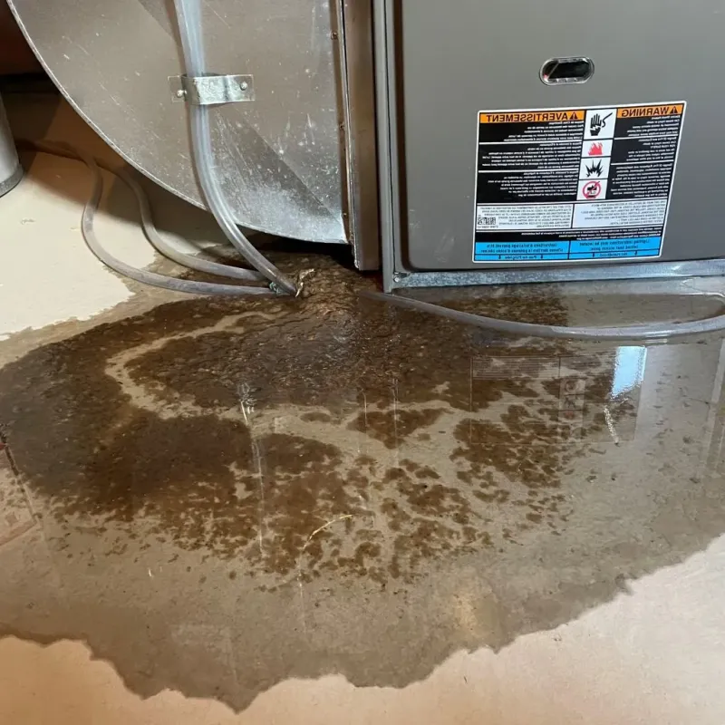 Pipe Burst and Leak Restoration in Clayton County, GA